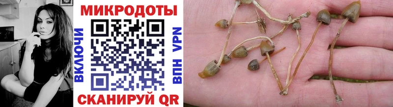 Галлюциногенные грибы Cubensis  Купить закладки  Пермь 